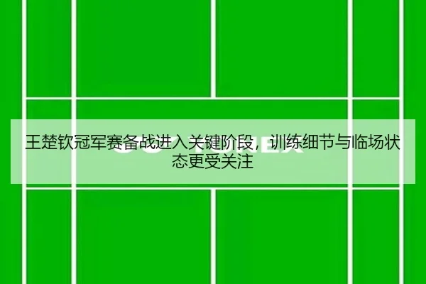 img_1782893749235_522_2_389.jpg